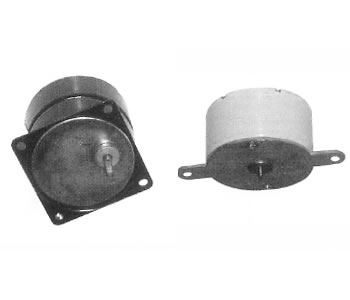 43TRY永磁容分同步電動機