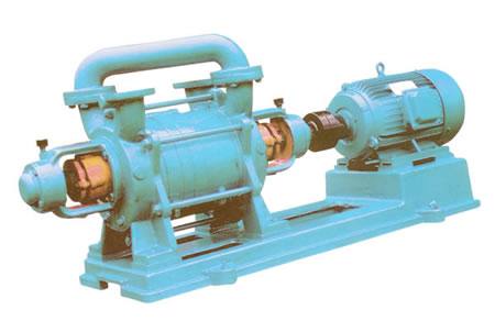 2SK-3型水環真空泵