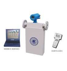 ZLY系統(tǒng)質(zhì)量流量計(jì)