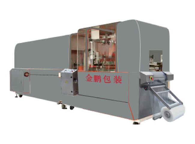 DLW-1012Z系列全自動臥式真空包裝機