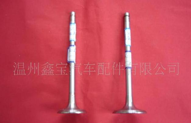 道依茨氣門.其他各種車型外貿氣門