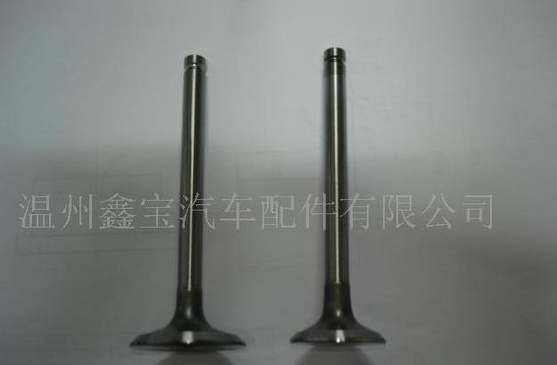 帕金斯氣門(mén).其他各種車(chē)型外貿(mào)氣門(mén)