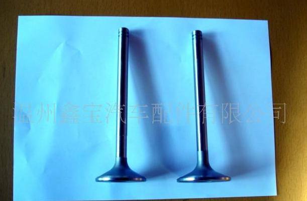 供應大眾氣門.其他日韓歐美氣門