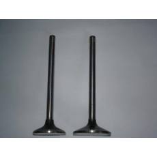 藍(lán)博基尼氣門，其他日韓歐美系列氣門