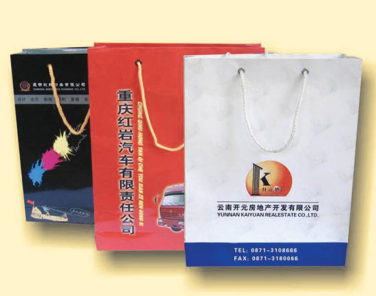 廠家訂做手提紙袋定做 禮品袋 廣告袋 化妝品袋子 服裝袋