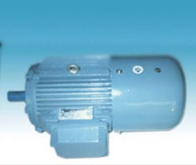 YEJ系列電磁制動三相異步電動機(jī)