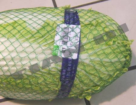 2-5菱型網(wǎng)眼袋PENT-004