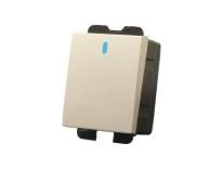 10A250V中板雙控點開關功能件