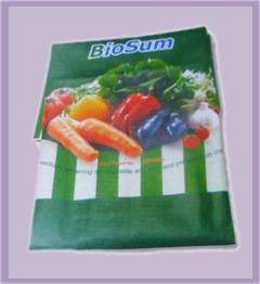 PEHG002 汽車蓬布，輪船蓬布，倉庫墊布，旅游、沙灘墊布，帳蓬布