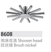 8608不銹鋼升降花灑