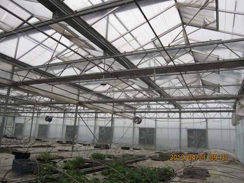 玻璃溫室大棚細節(jié)