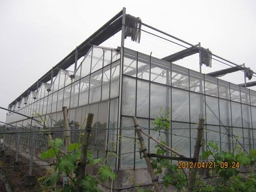 智能溫室大棚