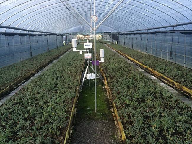 玻璃溫室大棚內(nèi)部管理