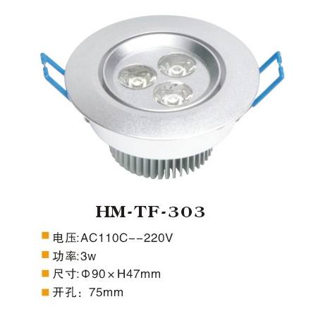 HM-TF-303 天花燈