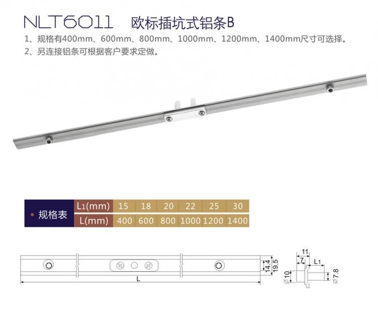 NLT6011 歐標插坑式鋁條B
