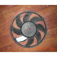 風(fēng)云風(fēng)葉  317g