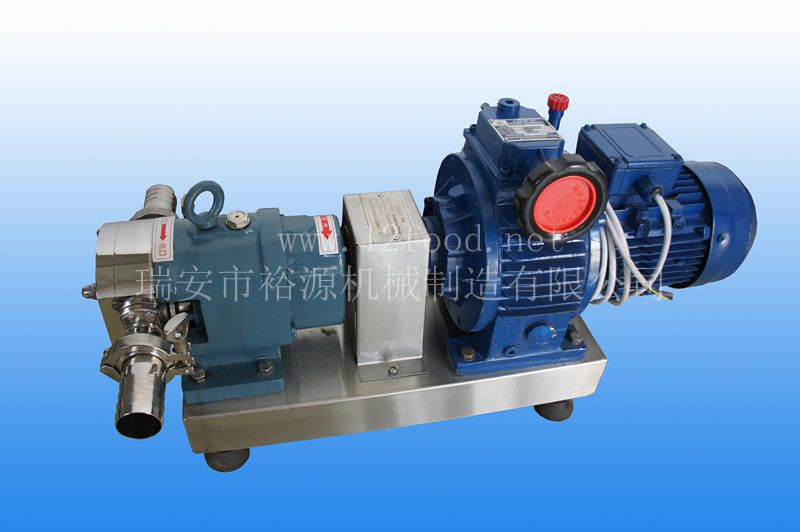 不銹鋼轉(zhuǎn)子泵