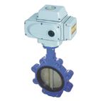 電動(dòng)凸耳式蝶閥