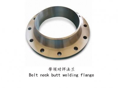 帶頸對(duì)焊法蘭 鑄件