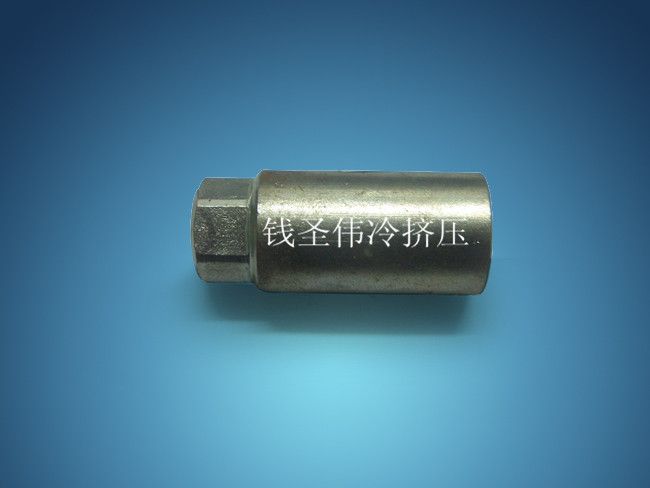 汽摩配件 冷擠壓件