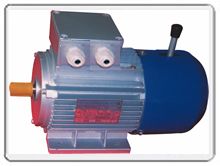 鋁殼小規(guī)格Y2及YEJ2（制動電機）系列三相異步電動機