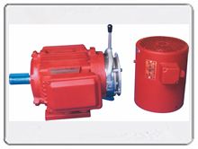 YVFEJ2系列變頻制動三相異步電動機