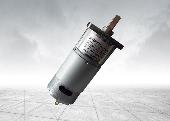 RG37BR-IG 永磁直流普通減速電機