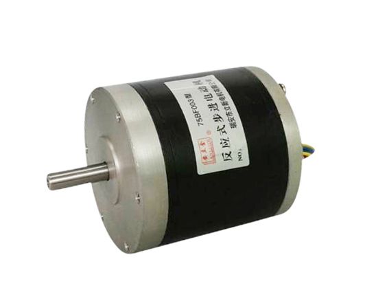 75BF003 磁阻式步進電動機 