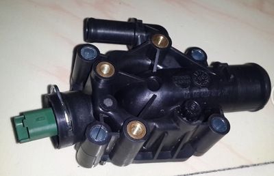 標致節溫器總成/ 汽車節溫器總成1336.z0 1336.z2