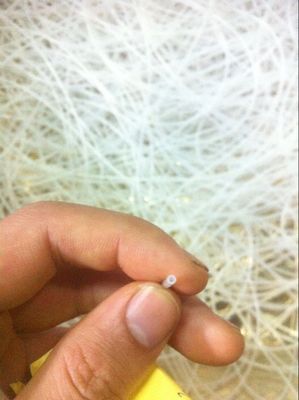 表殼硅膠密封條