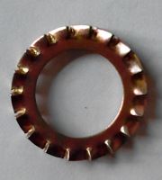 DIN6798A外鋸齒鎖緊墊圈