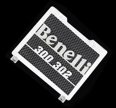 錢江貝納利黃龍藍(lán)寶龍Benelli藍(lán)寶龍300/BJ300GS改裝水箱網(wǎng)防護(hù)罩