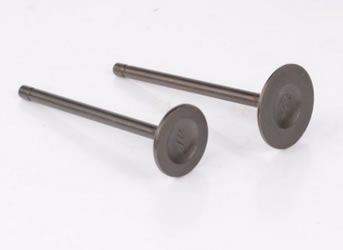 摩托車150進(jìn)排氣門