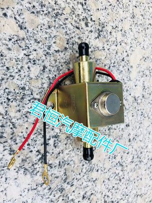 方形電子泵 汽車燃油 低壓 高壓 電子輸油泵