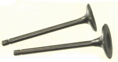 CG-200 鹽浴氮化氣門